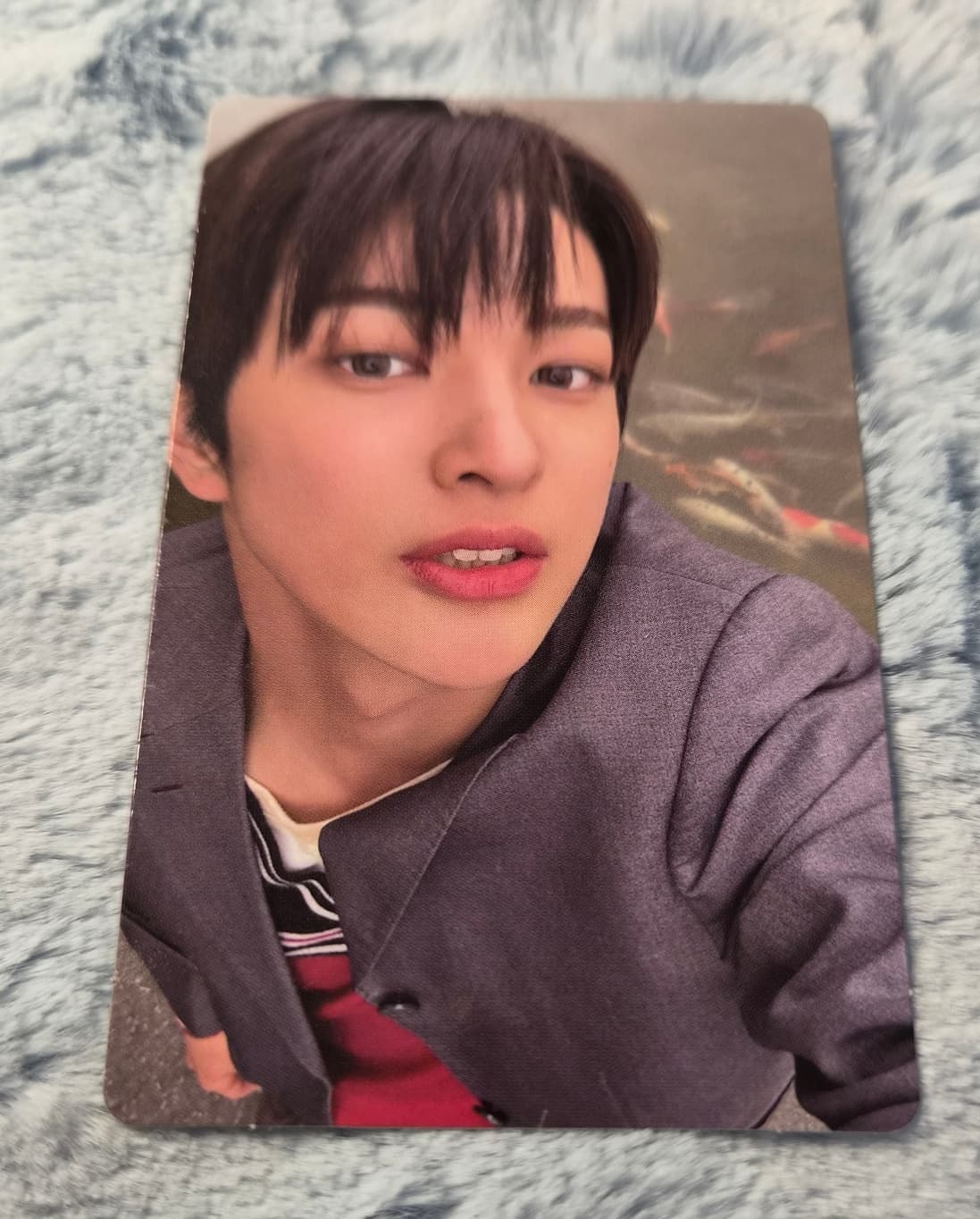cortis 코르티스 미니 2집 그린그린 레드레드 위버스 럭키드로우 럭드 건호 포토카드 포카